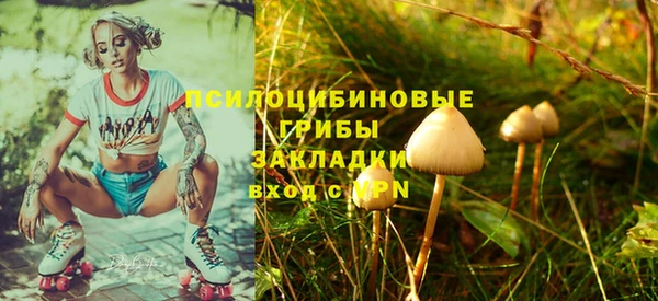 прущие крисы Абинск