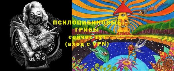 твердый Абаза