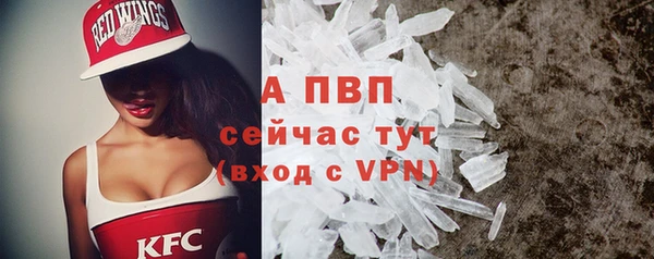 прущие крисы Абинск